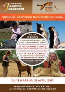 Formation Intervenant en Comportement Animal, Jacinthe Bouchard
